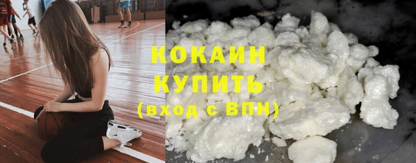 мет Лагань