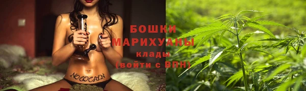 мет Лагань