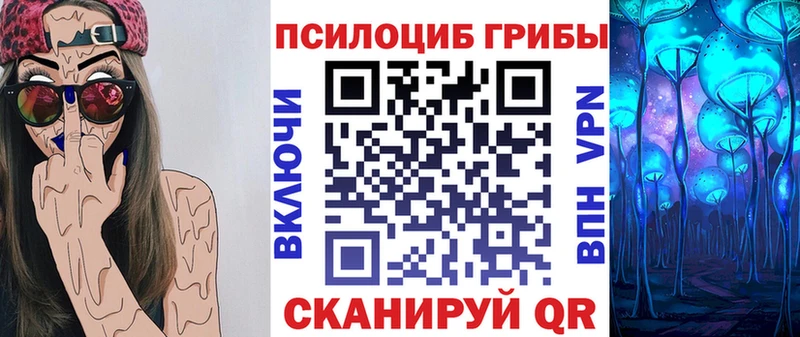 Купить  Россошь  Галлюциногенные грибы Psilocybe 